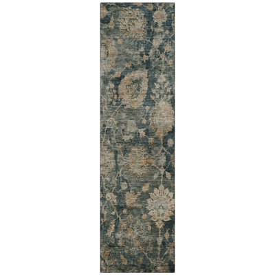 Machine Washable Indoor/Outdoor Chantille ACN2528 Traditional Rug