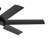 60 Inch Mint Ceiling Fan with Glass Diffuser-1990764676