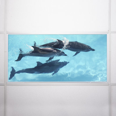 Ocean Classroom Fluorescent Light Covers for Ceiling Lights - For 2x4 Light Fixture - by Octo Lights