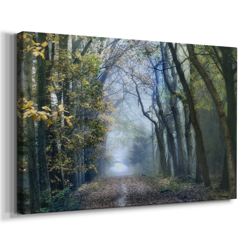Forêt d'acacia - Cavas enveloppés de galerie, 8 x 12