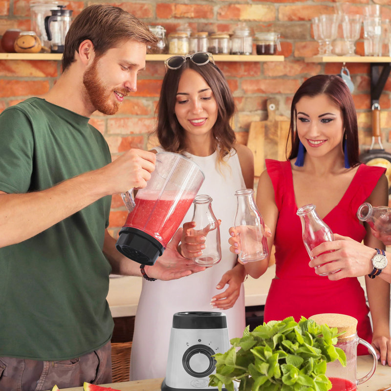 Quest 5 Speed 50.7ml Countertop Blender