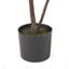 Figuier Achille artificiel en pot-368691956
