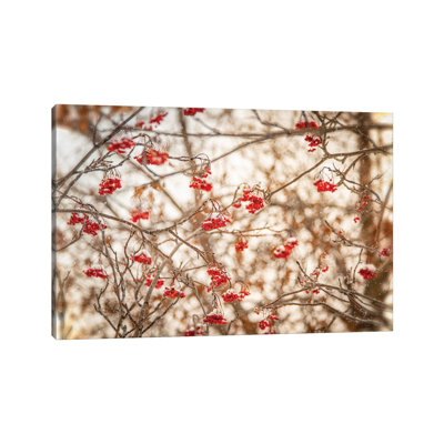 Rowan At The Winter by Nik Rave - Wrapped Canvas Gallery-Wrapped Canvas Giclée