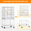 40 Inch Large Parrot Bird Cage with Play Open Top , Hanging Bird Cage with Slide-Out Tray Water Bottle Feeder