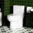 Water Elongated Toilet 1.28 , Comfort Height Design, Soft Close Seat, 1000 Gram Flushing, Gloss White 003S, Bathroom Floor Mounted One Piece Toilet, Water Saving Form, Closing Lid, Mount