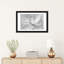 Transparent Transparent III - noir et blanc-2023587195-2023587168