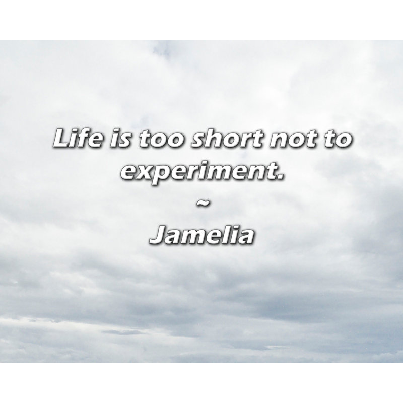 Citation de Jamelia: La vie est trop courte pour ne pas expérimenter.