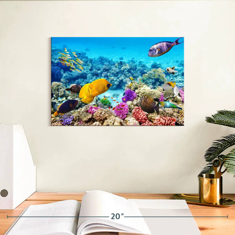 Ocean life Aletra, H 8 po x l 12 po