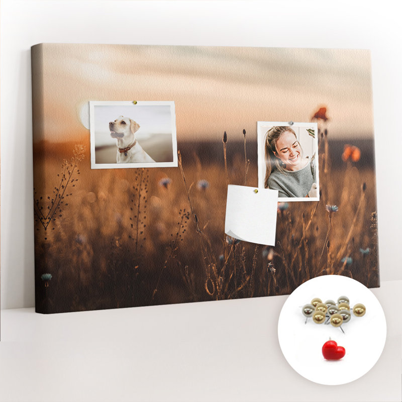 Deshazlor Cork Corkboard / Bulletin Board