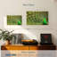 Brampt exhibant des plumes de paon-108000042