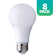 60-Watt Equivalent A19 Dimmable LED Light Bulb, 2700K Soft White, 8-pack