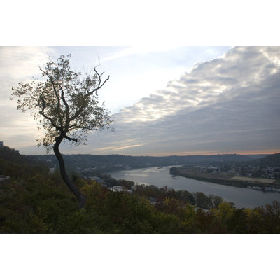 Tree Overlooking The Riverbend - Wrapped Canvas Art Prints