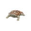 Toads Miniature Figurine-63679868