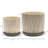 Lorice Stoneware and Ceramic Saucer Planters - Durable, Stylish Design - Set of 2-1646729356-1681686426-1681686423