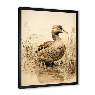 «Brown Duck Elegance II» - Art mural animal canard