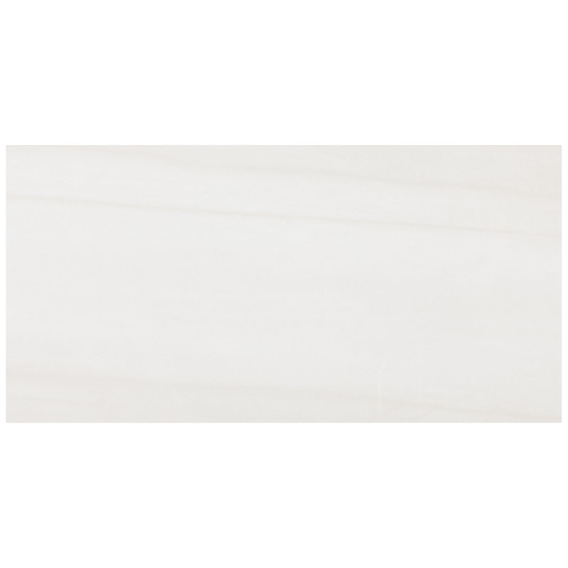 Carreau de porcelaine pour plancher et mur en marbre poli blanc chaud 11,73 po x 23,54 po Terius Dolomite