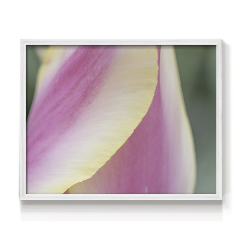 Delicate -Framed Print - Restickable, H 16 po x l 20 po, Blanc