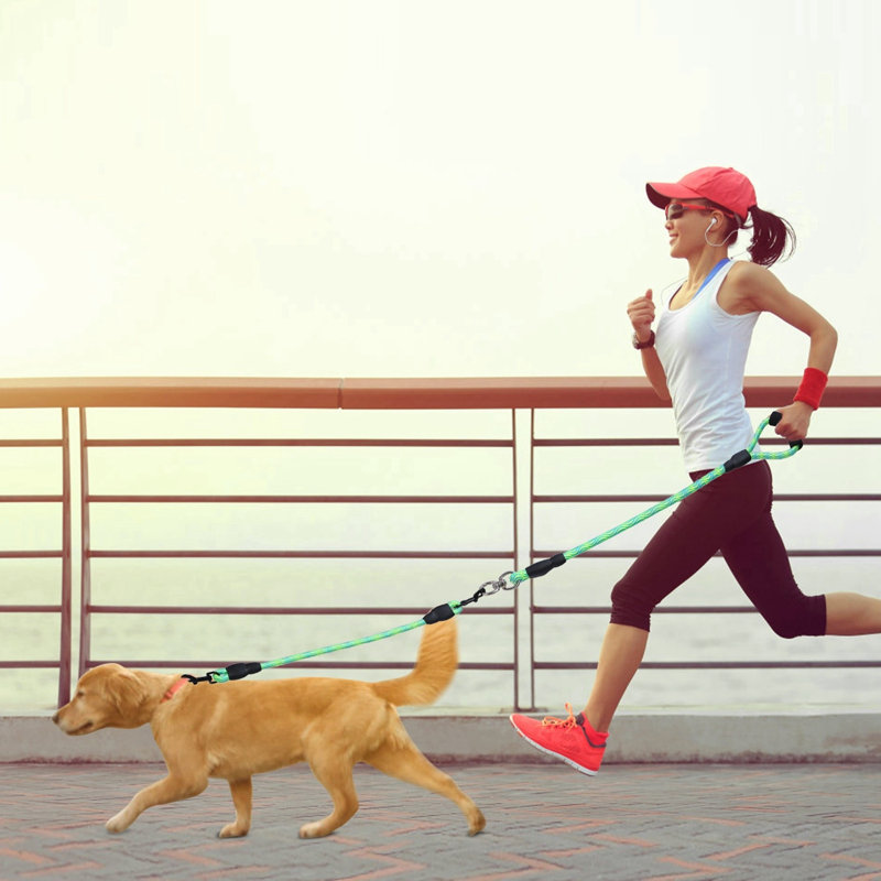 Double laisse pour chien