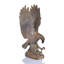 Mountaintop Eagle