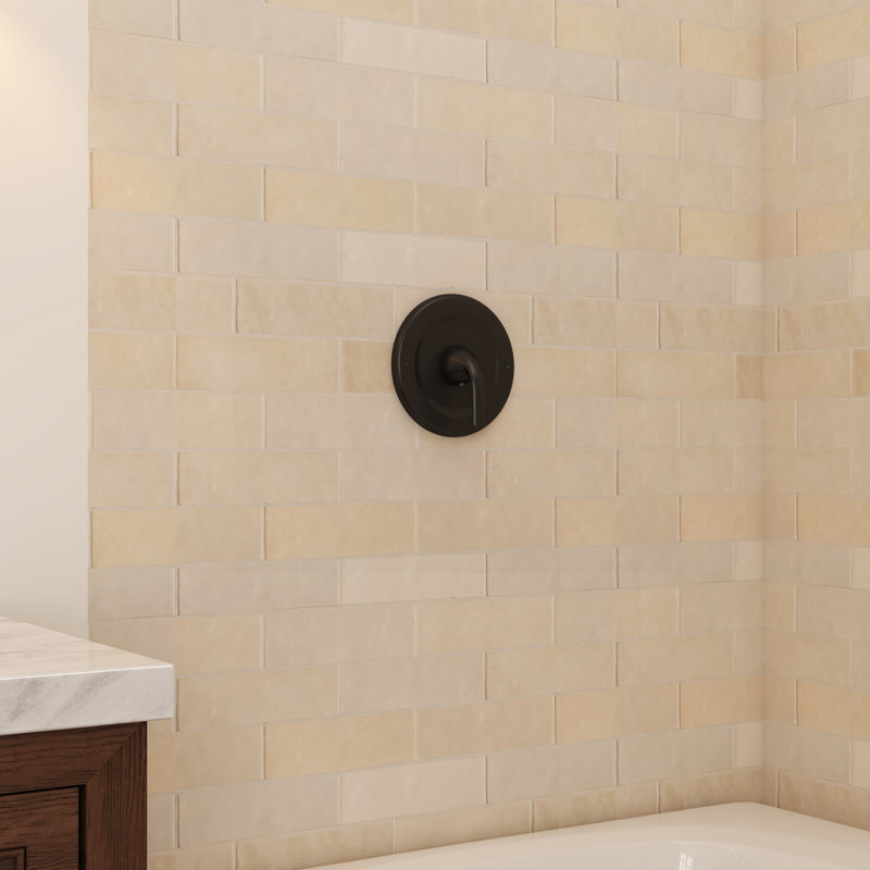 Ensemble de remplacement pour pomme de douche ronde à 10 fonctions de 5 pouces et garniture en acier inoxydable, Noir mat