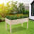 Temmy Wood Elevated Planter