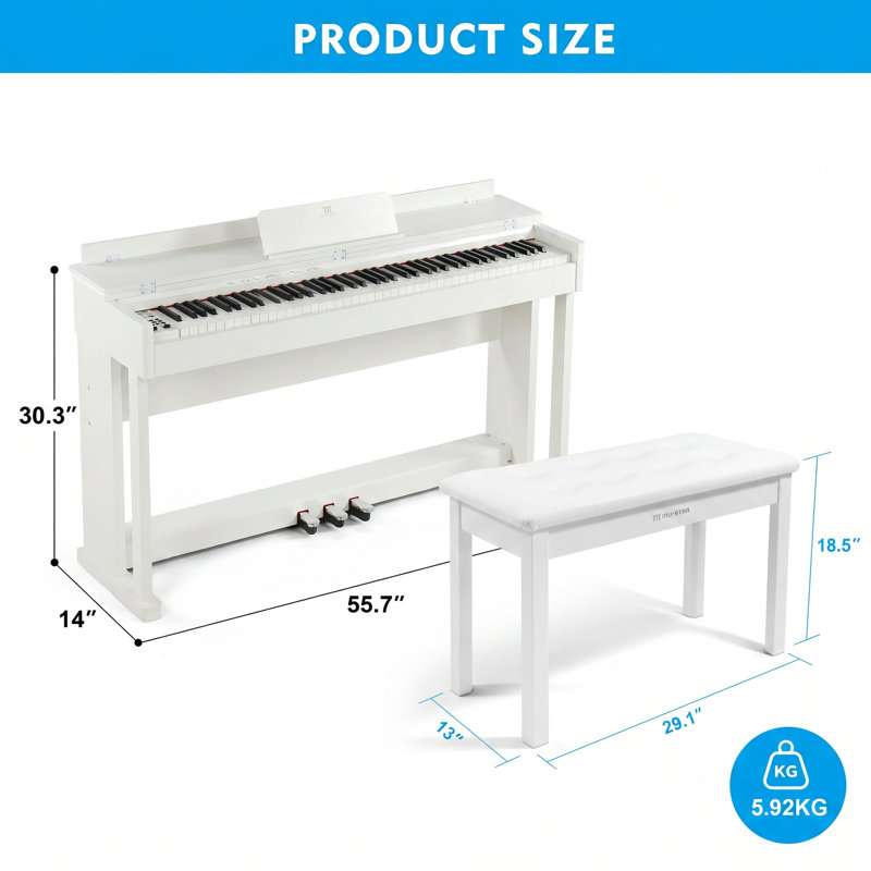Ensemble d'instruments de musique en bois avec banc de rangement, White