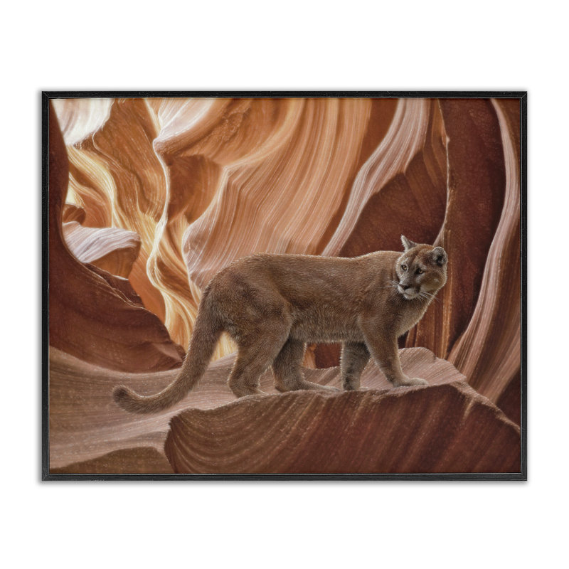 Cougar Canyon View, estampe numérique, conception de Collin Bogle, Giclée encadrée noir minuit, H 24 po x l 30 po
