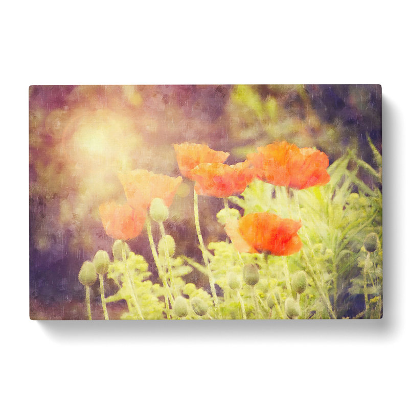 Field Of Poppies Vol.6 - Wrapped Canvas, 40cm H x 60cm W x 3cm D