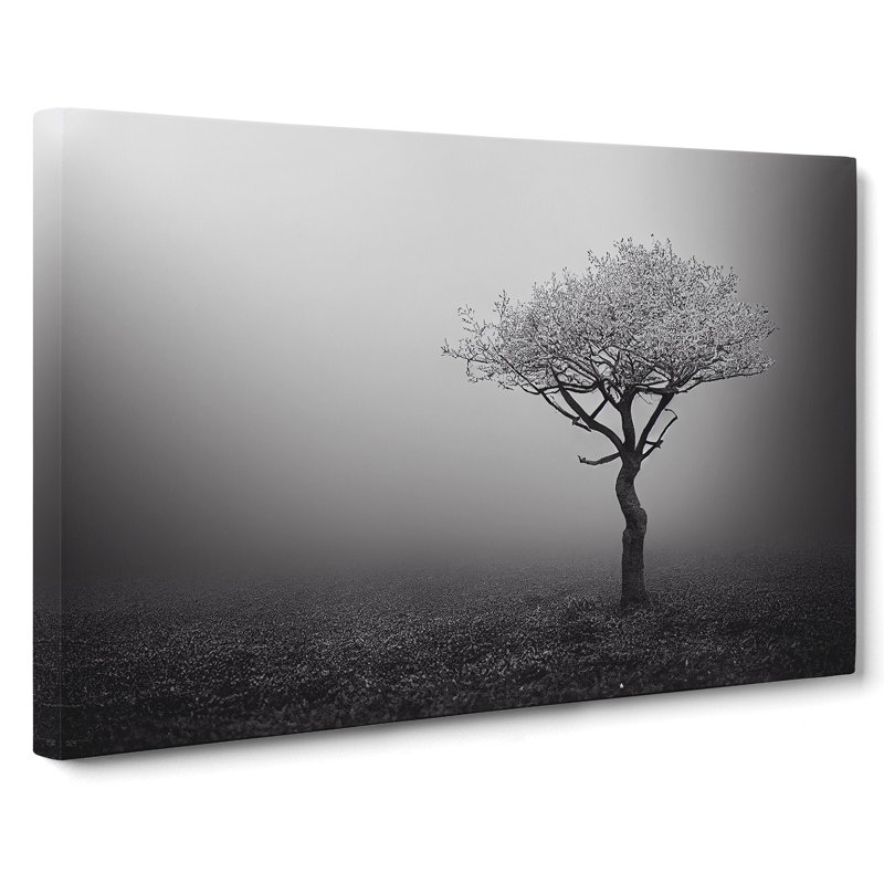 Lonely Tree - Wrapped Canvas Print, 50cm H x 76cm W x 3cm D