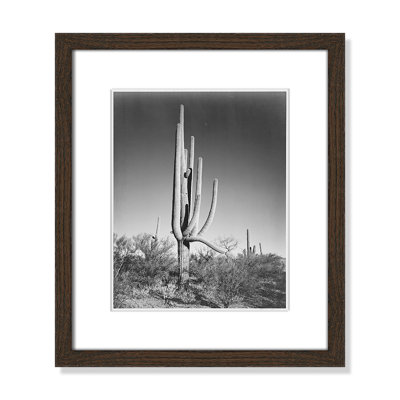 Saguaro National Monument Print by Ansel Adams