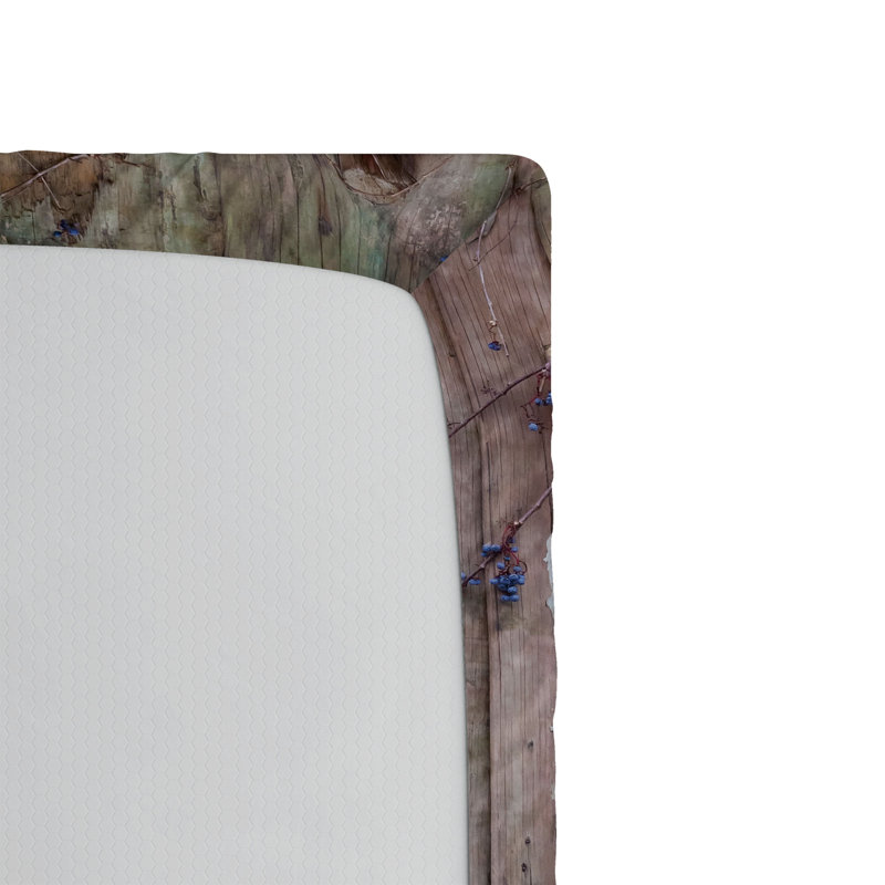 Drap-housse orange Ambesonne, Taupe chaud / bois de cacao / déclin, Drap-housse pour lit simple TG
