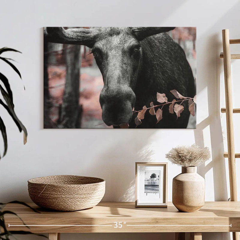Black Moose, 16" H x 24" W