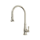 Patrizia™ Pull Down Single Handle Kitchen Faucet with Accessories