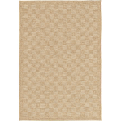 Acotas Chequered Area Rug