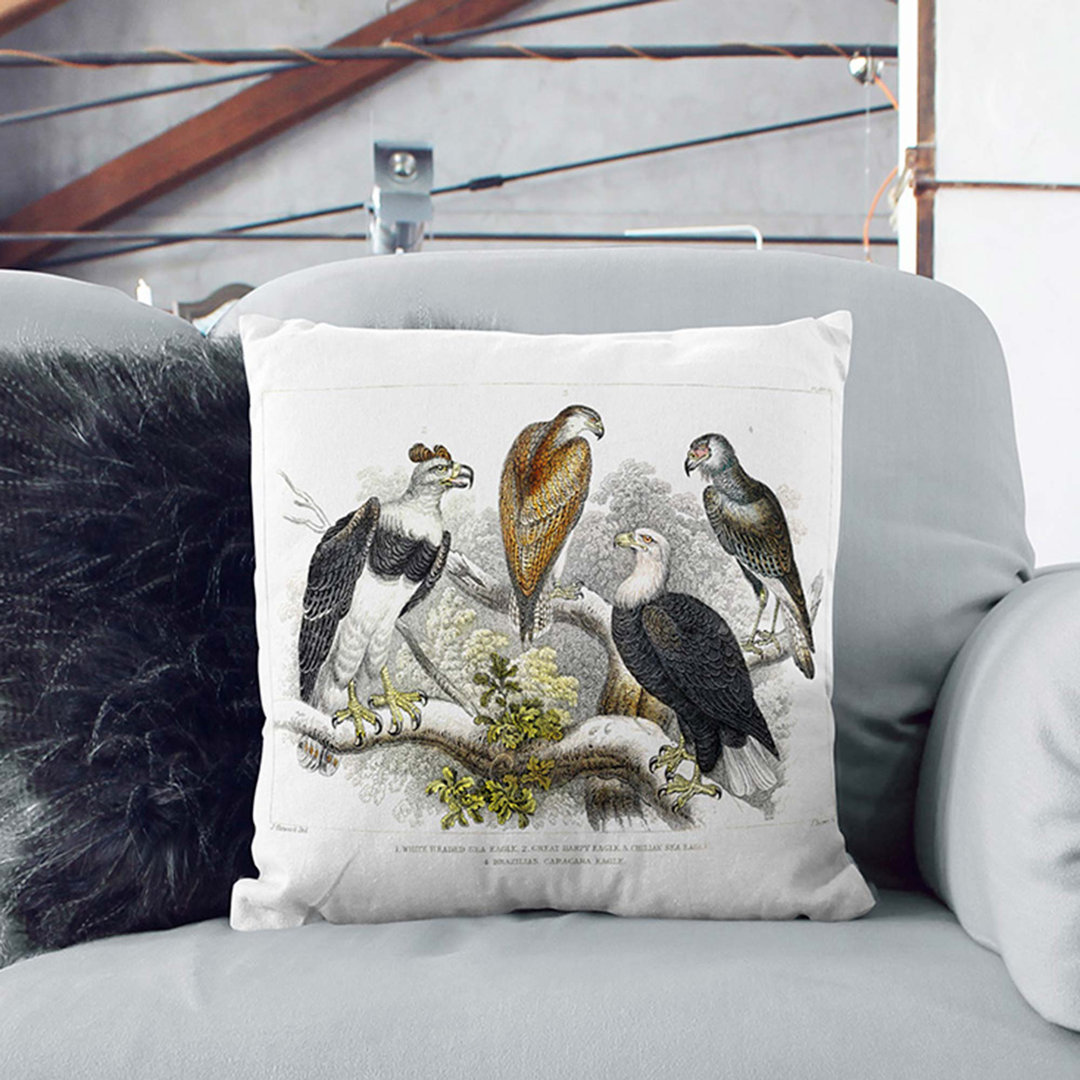 Eagle Birds by Oliver Goldsmith Cushion with Filling