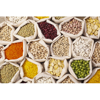 Leguminous Seeds Collection - Wrapped Canvas Art Prints