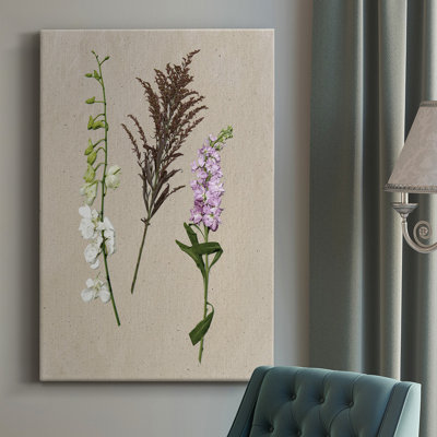 Pretty Pressed Flowers IV " Pretty Pressed Flowers IV " Painting Print