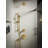 Elate Rite-Temp Shower Trim Kit, 1.5 Gpm-111140584