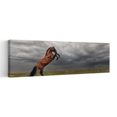 The King Of The Fields Abstract Contemporary Horse Landscape Nature Wall Art