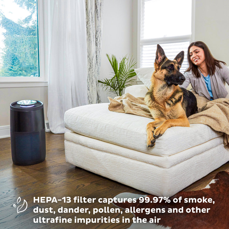 Black HEPA Tower Air Purifier with Ion Technology
