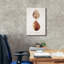 Toile épique Graffiti «Sienna Shell Collector 1» par Annie Warren, 18 po x 26 po-1189092744