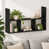 Black Oak