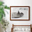 Laughing Seal - photographie avec cadre photo-1242266303-1242266296
