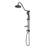 Shower Head With Handheld Shower System