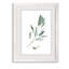 « simple sage i »-cadre photo imprimé sur verre-343747216-343747223