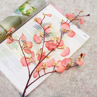 Orchid Arrangement