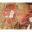 Area Rug-69564800
