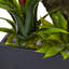 Arrangement floral mixte en pot-22592421