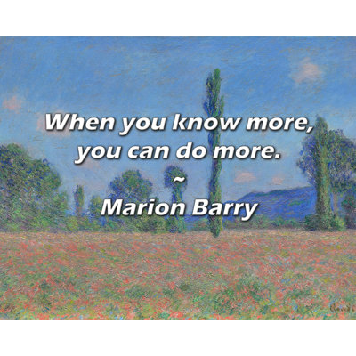 Marion Barry Quote: When you know more, you can do more.