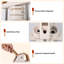 Decorative Object-1826213745